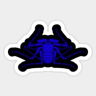 Amblypygi Sticker